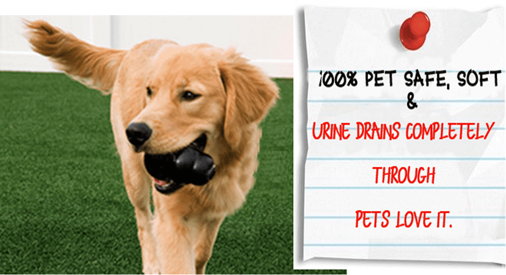 100% PET SAFE & They Love it