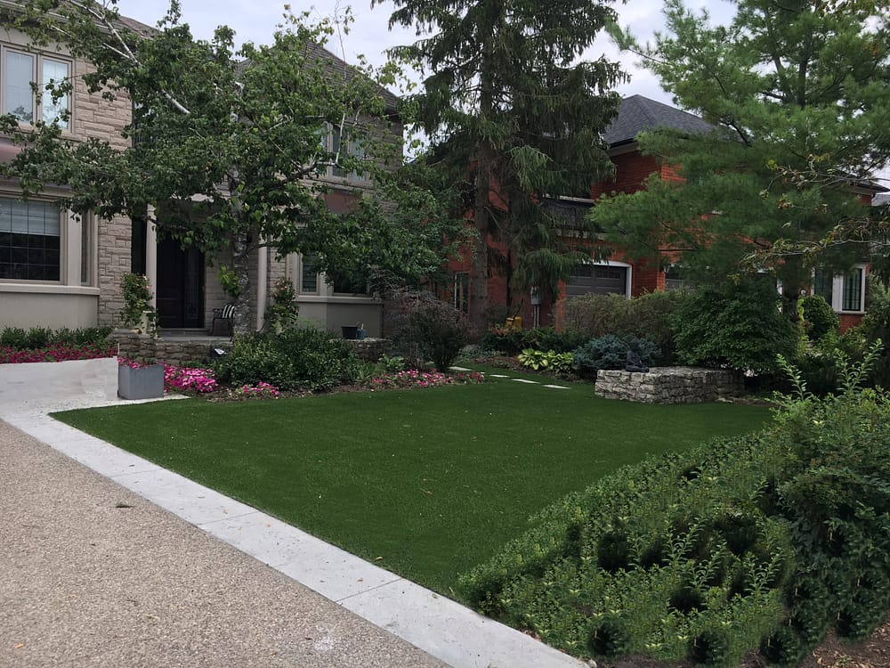 Great Front yard never mow the grass again