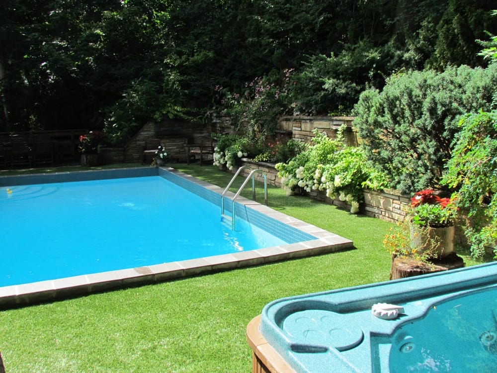 Grass around the swimming pool