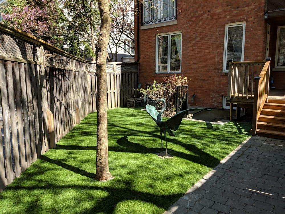 minimalist yard with artificial grass with focus on art
