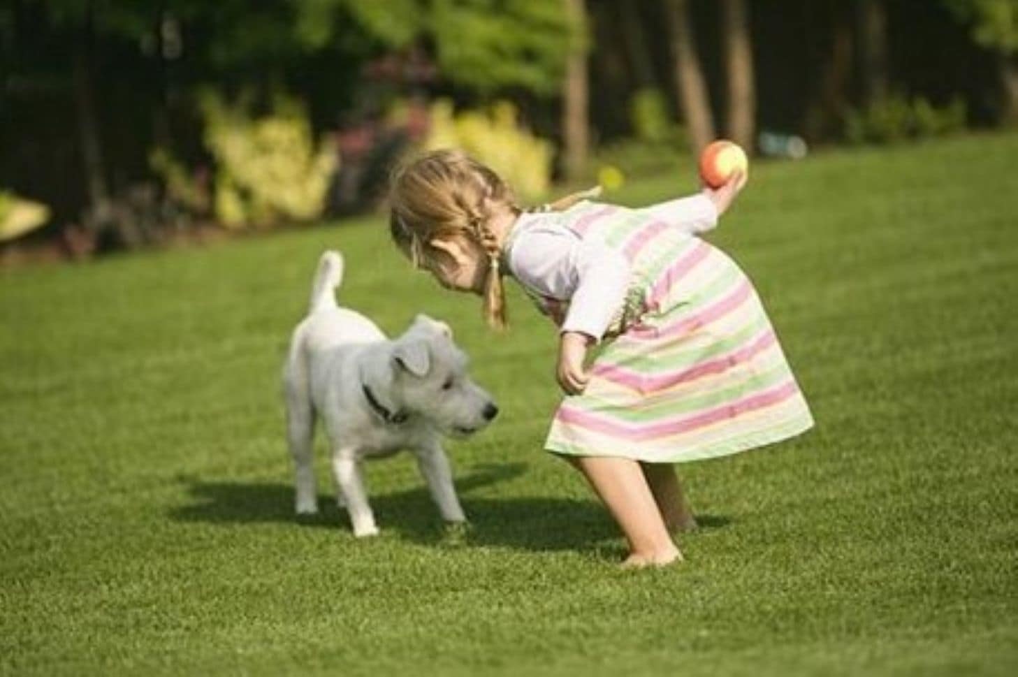 Small child and dog playing ball