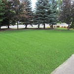 lawn made of plastic grass in Belleville Ontario