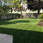 Large rolling yard makes for a lot of mowing. No more with artificial grass