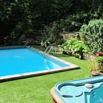 Grass around the swimming pool
