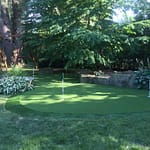 Our infill kills all moss mold and fungi great for shady areas