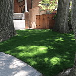 Trees galore, vigorously rake the grass