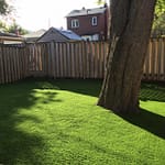 Big Trees thrive with our fast draining turf backings