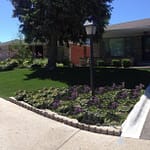 front yard ississauga with flowers