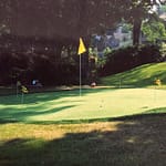 Oakville large artificial green