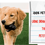 100% PET SAFE & They Love it