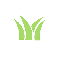 What You Need To Know