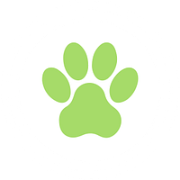 What You Need To Know