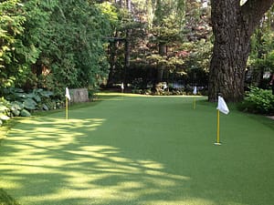 5 hole putting green with artificial golf turf in North YorkOntario