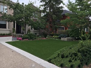 Great Front yard never mow the grass again