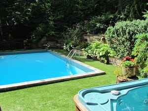 Grass around the swimming pool 