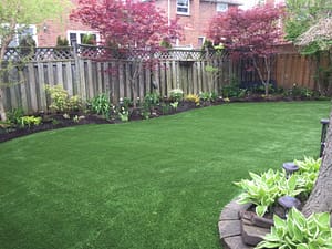 Water & care for the flowers not the grass