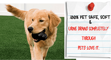 100% PET SAFE & They Love it