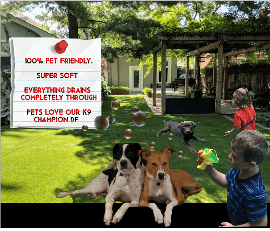 Kids , dogs and bubbles on K9 Champion grass