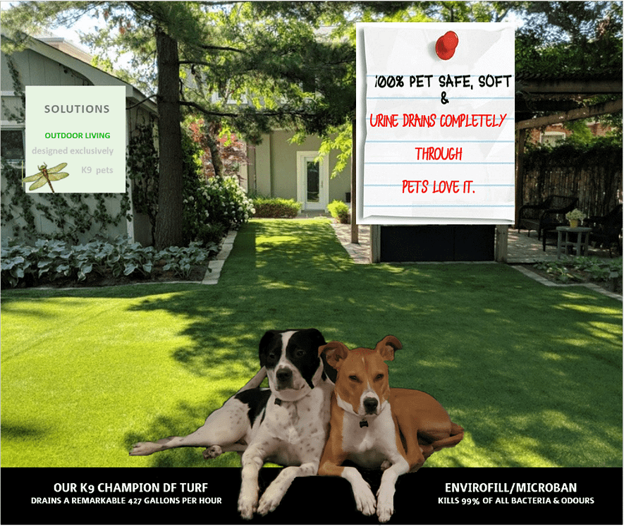 100% Pet Safe 2 dogs