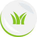 Artificial Turf Landing