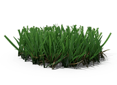 What You Need To Know