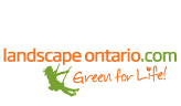 Landscape Construction