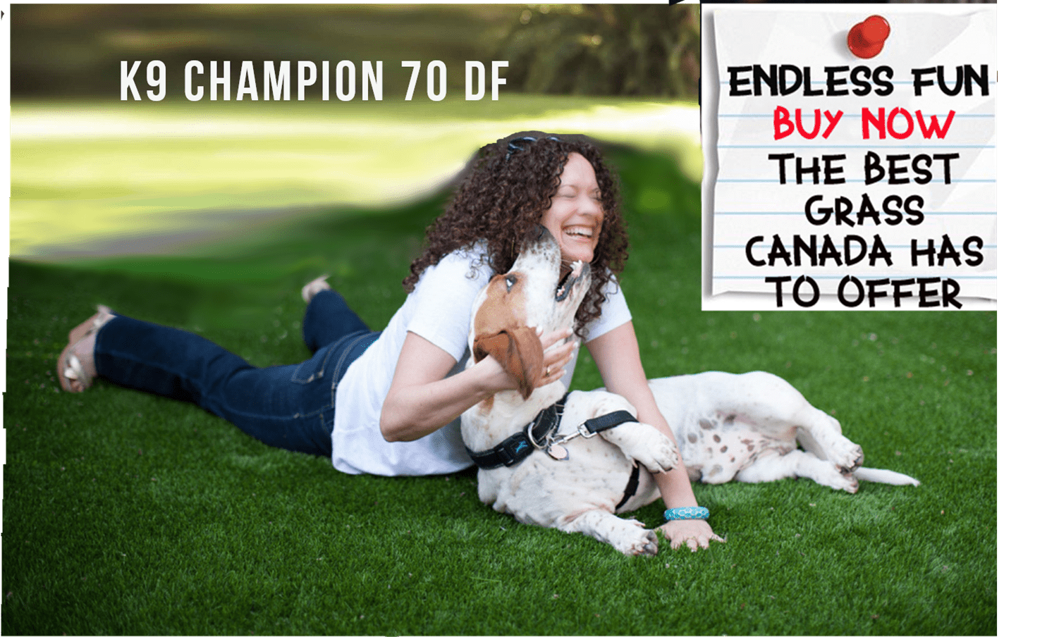 Dog And Pet Turf